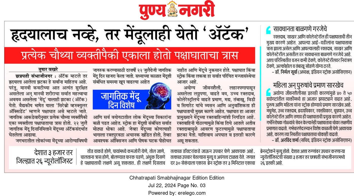 Punyanagari 22 July 2024 Pg 3